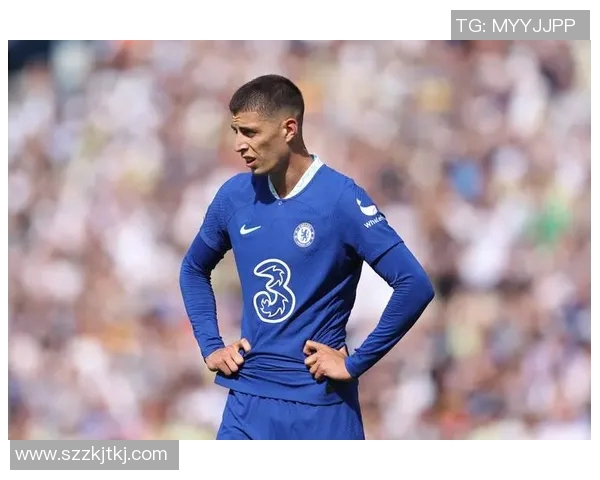 哈弗茨个人资料揭秘 足球天才的成长与职业生涯全解析 哈弗茨个人资料揭秘 足球天才的成长与职业生涯全解析