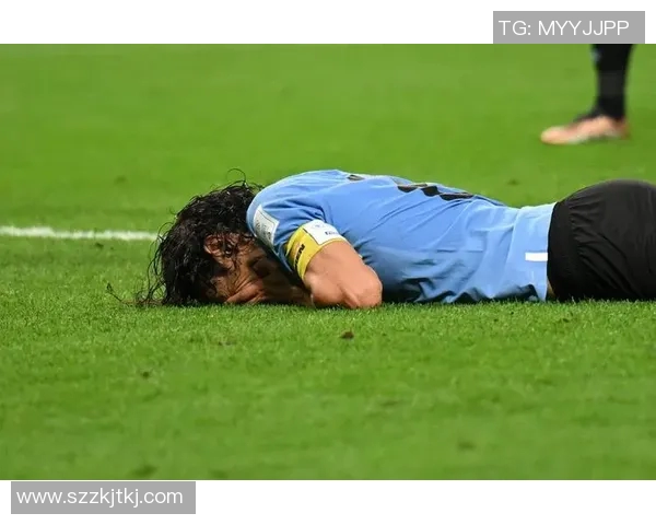 乌拉圭足球历史前十名球星盘点 从苏亚雷斯到弗朗西斯科阿尔卡斯